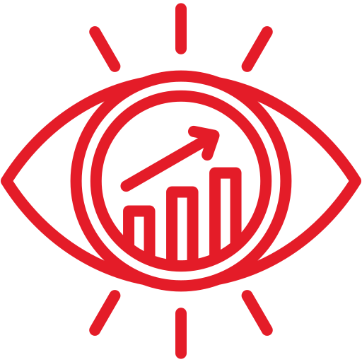 vision